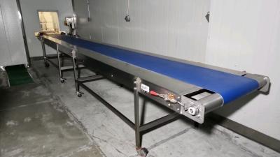 Stainless Steel Conveyor