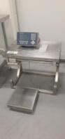 Mettler Toledo Scale