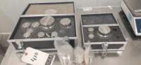 Scale Weight Set