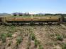 6-Row Cultivator Row Shaper - 4