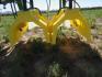 22 foot 6-Row Shielded Sprayer - 8