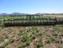 20 foot 6 foot Spring Tine Cultivator - 3