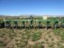 2007 Sukup 9400 High Speed Cultivator