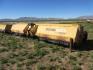 Alloway / Woods S20CD Flail Shredder Hay and Forager - 2