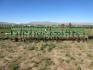 21 foot Tiller