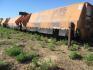 Alloway / Woods S20CD Flail Shredder Hay and Forager - 3