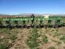 2007 Sukup 9400 High Speed Cultivator