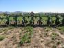 2007 Sukup 9400 High Speed Cultivator - 5