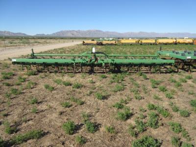 19 foot Spring Harrow