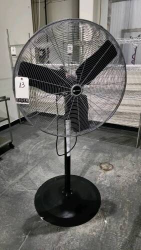 Pedestal Fan