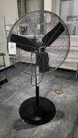 Pedestal Fan