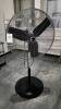 Pedestal Fan