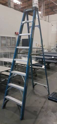 Werner 8 foot Step Ladder