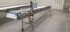 FPEC Plastic Belt Conveyor