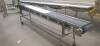 FPEC Plastic Belt Conveyor - 3