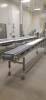 FPEC Plastic Belt Conveyor - 4