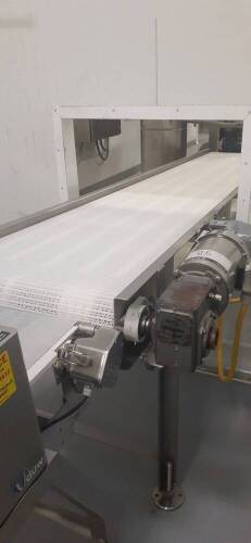 Inclined Plastic Belt Conveyor