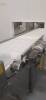Inclined Plastic Belt Conveyor