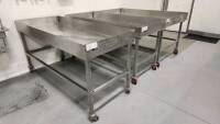 Stainless Steel Portable Tables