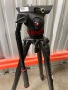 Manfrotto 502 Head w/Tripod - 3