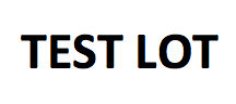 TEST LOT - This lot should be used for bidding practice only.