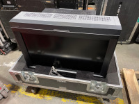 Sony BVM-L231 HD LCD Master Monitor
