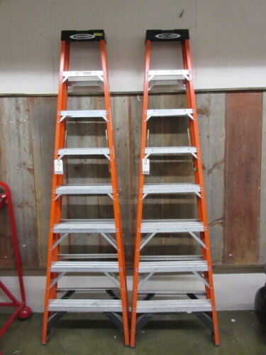 Werner 8 foot Ladders