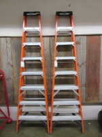 Werner 8 foot Ladders