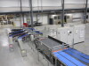 Distribution Sortation System