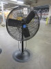 Assorted Pedestal Fans - 2