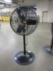 Assorted Pedestal Fans - 3