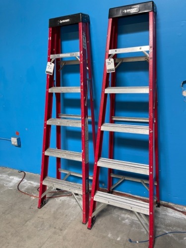 Lot (2) Werner 6-Step Ladder