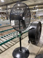 Pedestal Fans