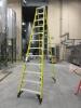 12ft Fiberglass Ladder