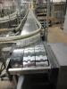 Stainless Steel Belt Conveyor - 4