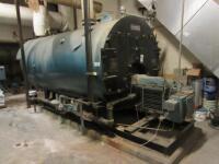 Gas Steam Boiler