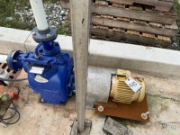 Diaphragm Pump w/ Balder Reliance Motor