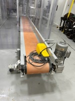 Motorized Conveyor Belt w/ Controls & Foot Control, Inverter Duty Motor, AC Motor Speed Controls