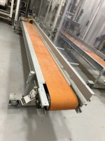 Motorized Conveyor Belt w/ Controls & Foot Control, Inverter Duty Motor, AC Motor Speed Controls