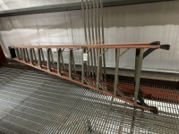Werner 12-Step Ladder