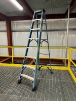 Werner 8-Step Ladder