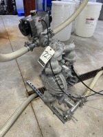 Dayton Diaphragm Pump