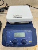 Lab Genius Scale