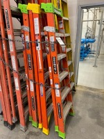 Lot (3) Werner 6-Step Ladders