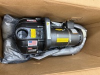Pacer Horizontal Century Pump