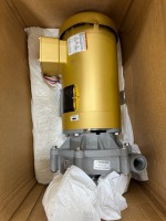Lot (2) Advanced 1000 Century Pumps
