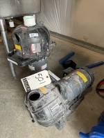 Lot (2) Pacer Pumps