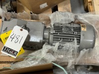 Inverter Duty Motor