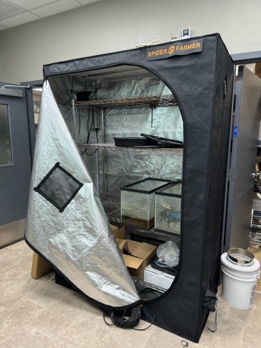 Lot Spider Farm Tent & Angler Tent