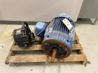 Pacer Pump